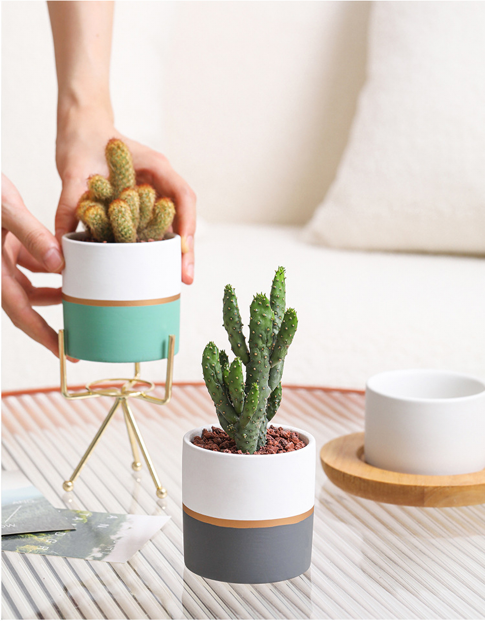 Matorino -Plant Pots Indoor 4.7 Inch Ceramic Planters, Matte Flower Pots with Drainage Hole for Home Office Decor.