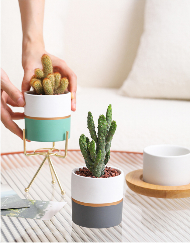 Matorino -Plant Pots Indoor 4.7 Inch Ceramic Planters, Matte Flower Pots with Drainage Hole for Home Office Decor.