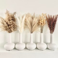 Matorino -Dried Pampas Grass Decor, White & Natural Pampas Grass Dried Flowers, Billy Button Ball Flower, Bunny Tails Grass, Reed Grass Bouquet for Wedding Boho Home House Table Party Decor.