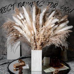 Matorino -Dried Pampas Grass Decor, White & Natural Pampas Grass Dried Flowers, Billy Button Ball Flower, Bunny Tails Grass, Reed Grass Bouquet for Wedding Boho Home House Table Party Decor.