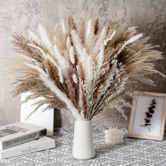 Matorino -Dried Pampas Grass Decor, White & Natural Pampas Grass Dried Flowers, Billy Button Ball Flower, Bunny Tails Grass, Reed Grass Bouquet for Wedding Boho Home House Table Party Decor.