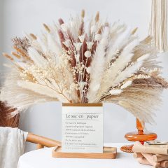 Matorino -Dried Pampas Grass Decor, White & Natural Pampas Grass Dried Flowers, Billy Button Ball Flower, Bunny Tails Grass, Reed Grass Bouquet for Wedding Boho Home House Table Party Decor.