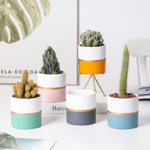 Matorino -Plant Pots Indoor 4.7 Inch Ceramic Planters, Matte Flower Pots with Drainage Hole for Home Office Decor.