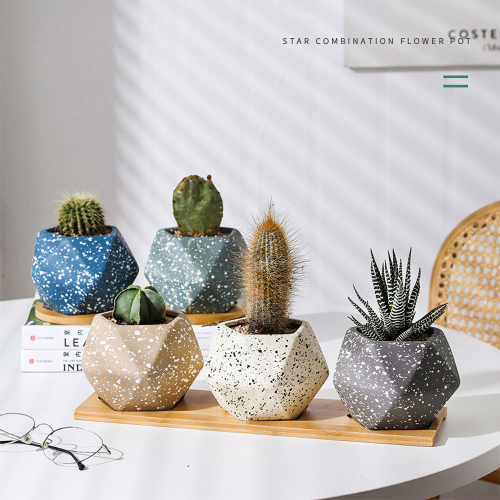 Matorino -Ceramic Succulent Planter Pot with Bamboo Tray, Small Colorful Diamond Shaped Cactus Herb Flowers Planter with Drainage Hole.