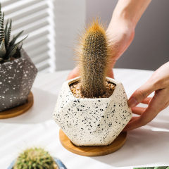 Matorino -Ceramic Succulent Planter Pot with Bamboo Tray, Small Colorful Diamond Shaped Cactus Herb Flowers Planter with Drainage Hole.