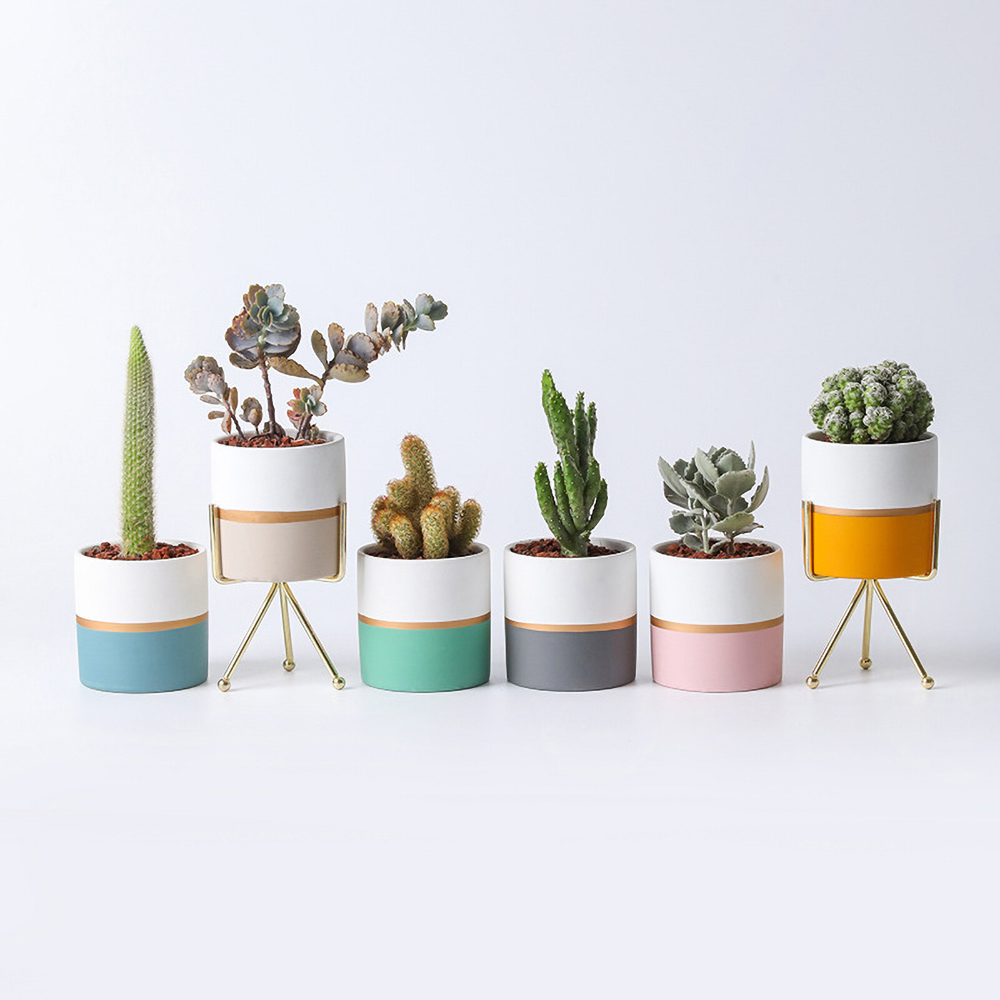Matorino -Plant Pots Indoor 4.7 Inch Ceramic Planters, Matte Flower Pots with Drainage Hole for Home Office Decor.
