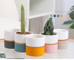 Matorino -Plant Pots Indoor 4.7 Inch Ceramic Planters, Matte Flower Pots with Drainage Hole for Home Office Decor.