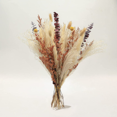 Matorino -Total 34 pcs Dried Pampas Grass Décor, Pompous Grass, Blue Eucalyptus Leaves, Bunny Tails Dried Flowers Reed Grass, 17 inch Pompass Grass for Flower Arrangements Boho Wedding Home Décor.