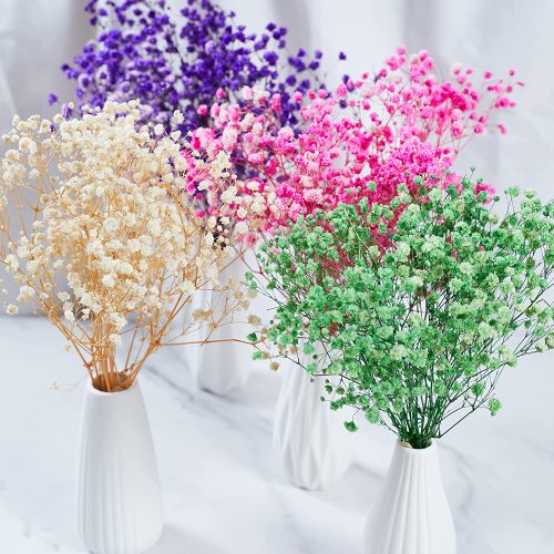 Matorino -Preserved Baby's Breath, 100% Natrual Fresh Gypsophila Long Lasting Flowers for Vase Arrangements Home Decoration Photo Props Parties and Weddings, DIY Décor.
