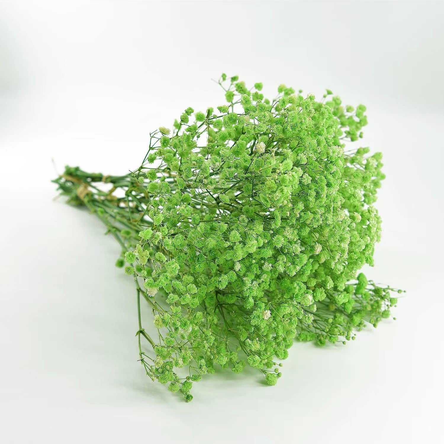 LightGreen