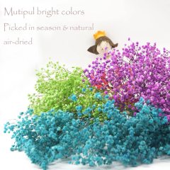Matorino -Preserved Baby's Breath, 100% Natrual Fresh Gypsophila Long Lasting Flowers for Vase Arrangements Home Decoration Photo Props Parties and Weddings, DIY Décor.