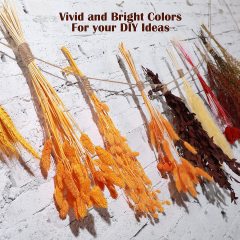 Matorino -Boho Flowers Orange Pampas Grass Decor Fluffy Dried Flower Bouquet Dry Pompas 17"-95-Pcs Fall Decorations for Home Pompous.