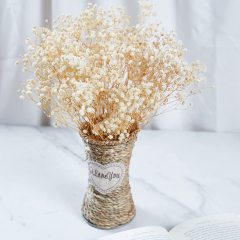 Matorino -Preserved Baby's Breath, 100% Natrual Fresh Gypsophila Long Lasting Flowers for Vase Arrangements Home Decoration Photo Props Parties and Weddings, DIY Décor.