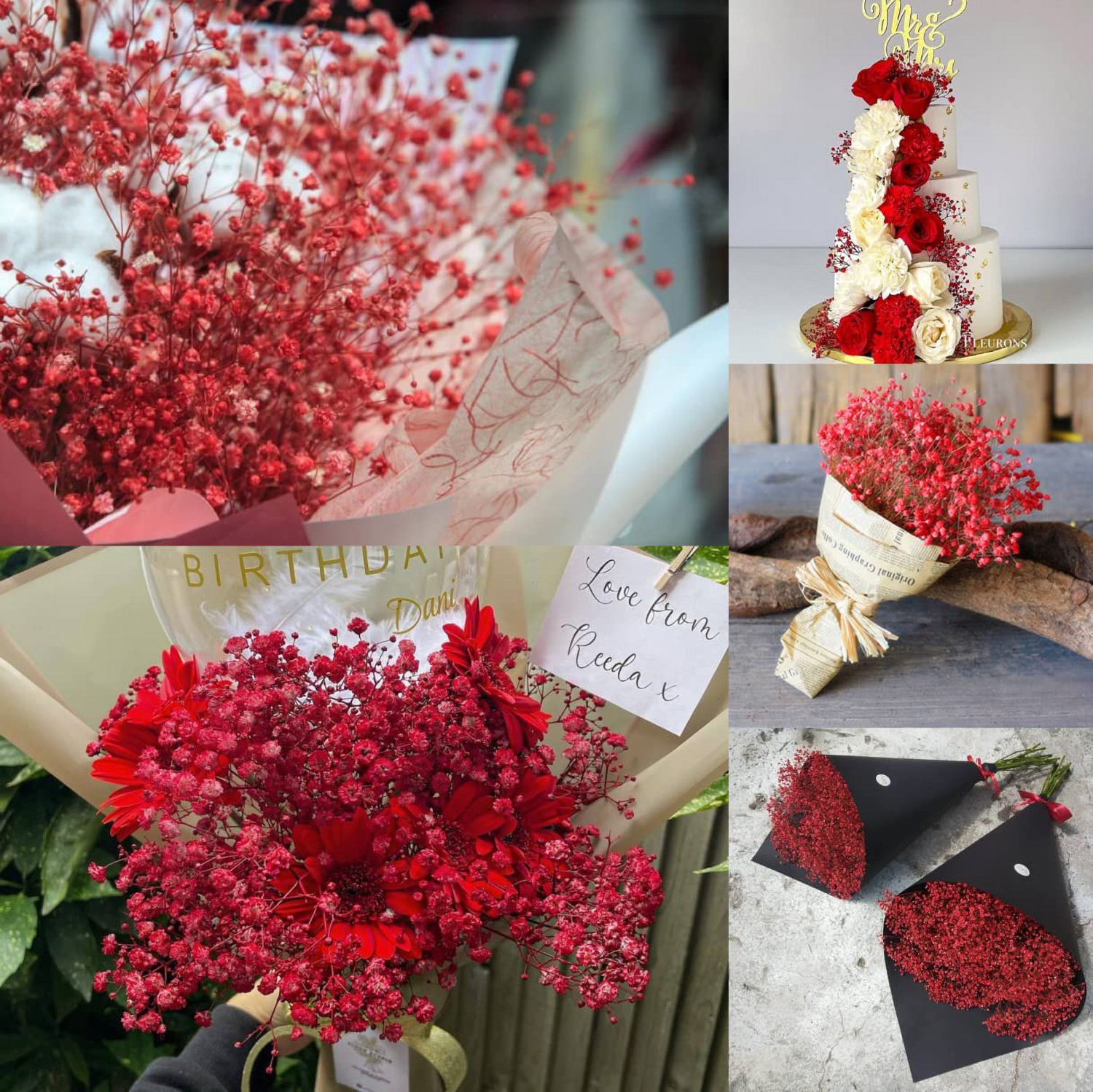 Matorino -Preserved Baby's Breath, 100% Natrual Fresh Gypsophila Long Lasting Flowers for Vase Arrangements Home Decoration Photo Props Parties and Weddings, DIY Décor.