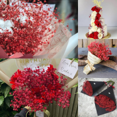 Matorino -Preserved Baby's Breath, 100% Natrual Fresh Gypsophila Long Lasting Flowers for Vase Arrangements Home Decoration Photo Props Parties and Weddings, DIY Décor.