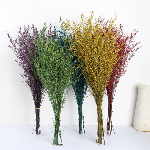 Matorino -Preserved Natural Bouquet, 25 stem Real Fresh Limonium Bellidifolium, Sea Lavender, Baby Breath Flowers, for Wedding Birthday, Home Décor, Gift, Rustic Holiday Décor.