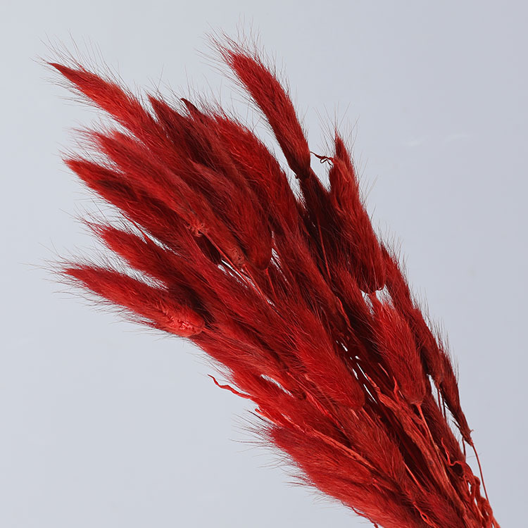 DRD