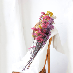 Matorino -Dried Flowers Bouquet Millet Dry Flower 100% Natural for Vase Home Decoration Wedding DIY Arrangement.