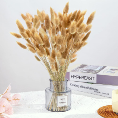 Matorino -Dried Lagurus ovatus, Boho Home Decor Bouquet, Dried Bunny Tails Pampas for Dried Flowers Arrangements Wedding Bathroom Home Decor.