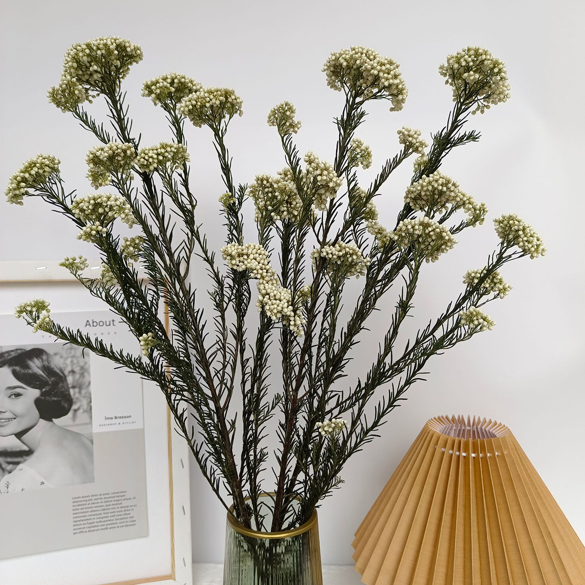 Matorino -Dried Flowers Bouquet Millet Dry Flower 100% Natural for Vase Home Decoration Wedding DIY Arrangement.