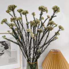 Matorino -Dried Flowers Bouquet Millet Dry Flower 100% Natural for Vase Home Decoration Wedding DIY Arrangement.