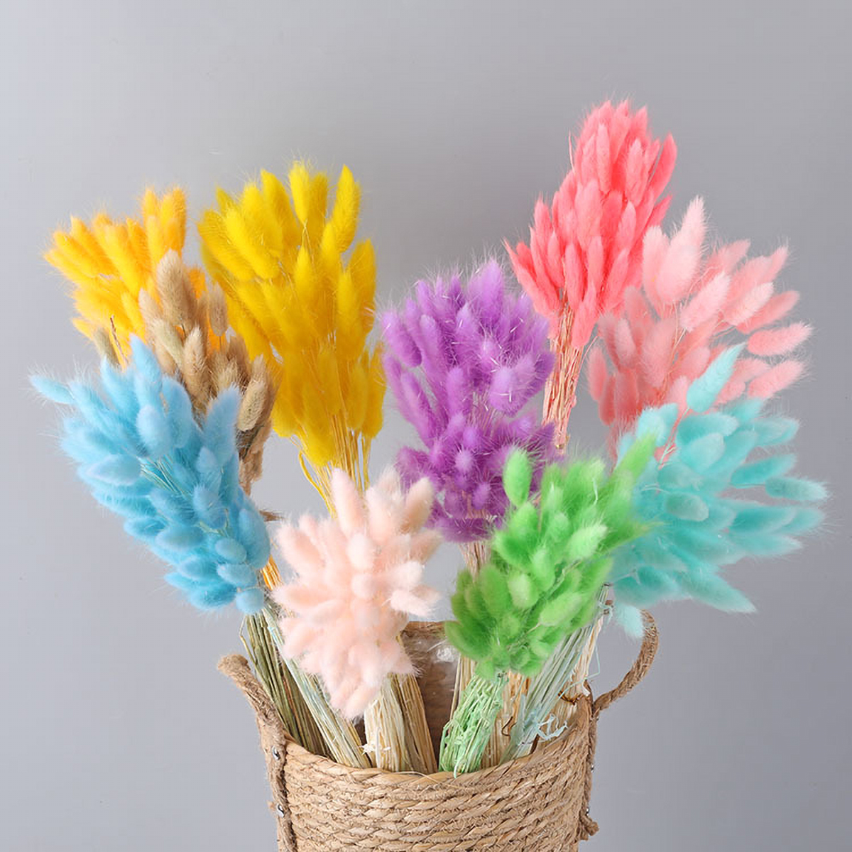 YIWOYI 20 Stks Bunny Staarten, Natuurlijke Gedroogde Bloemen Konijn Staart Gras Bunch Kleurrijke Lagurus Ovatus Echte Bloem Boeket voor Thuis Bruiloft Decoratie (9 YIWOYI 20 Stks Bunny Staarten, Natuurlijke Gedroogde Bloemen Konijn Staart Gras Bunch Kleurrijke Lagurus Ovatus Echte Bloem Boeket voor Thuis Bruiloft Decoratie (9
