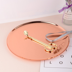 Matorino -Dinner Plates Serving Tray Stainless Steel Tray Golden Plate Cosmetics Jewelry Organizer Towel Tray Storage Tray Dish Tray Tea Tray Fruit Trays.