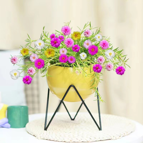 Matorino -Morandi Metal Flower Pot, V-shaped Flower Pot Holder, Gardening Pot, Interior Decoration Pot, Living Room Decoration, Crafts, Simulated Plants