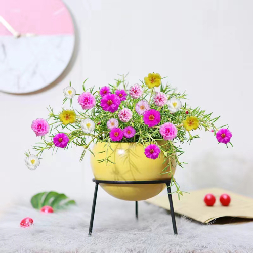 Matorino -Morandi Metal Flower Pot, R-shaped Flower Pot Holder, Gardening Pot, Interior Decoration Pot, Living Room Decoration, Crafts, Simulated Plants