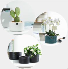 Matorino -Ceramic Modern Glaze Succulent Planter Pot with Drainage Hole and Saucer Round Flower Plant Pot for Indoor Outdoor Herb Snake Plants.