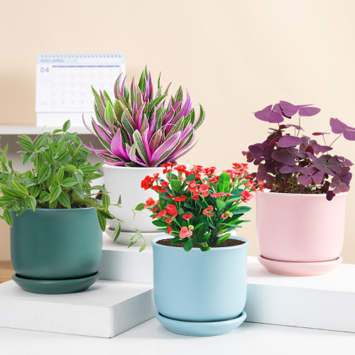 Matorino -Plant pot with Drainage and Saucer, Ceramic Planters Indoor Plants, Flower Pot Outdoor, Leaf Printing Indoor Pots for Plants.