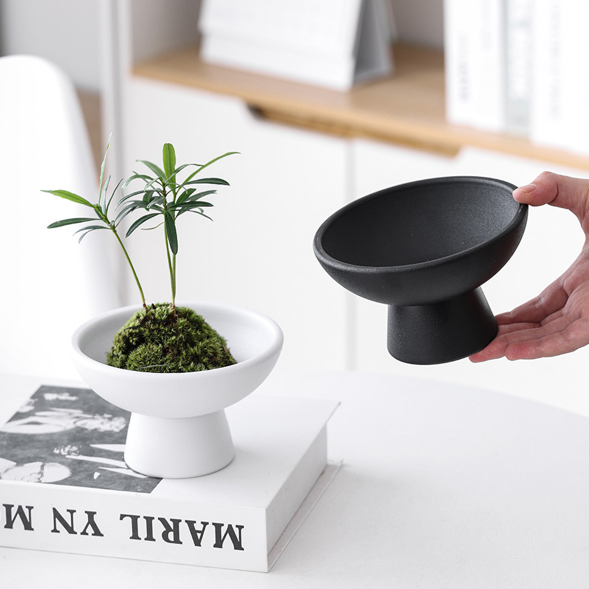 Matorino -Ceramic Plant pots Indoor Pots Set with Drainage Holes, Modern Decorative pots Outdoor Plants Lilies, Cacti, Succulents, Snakes.