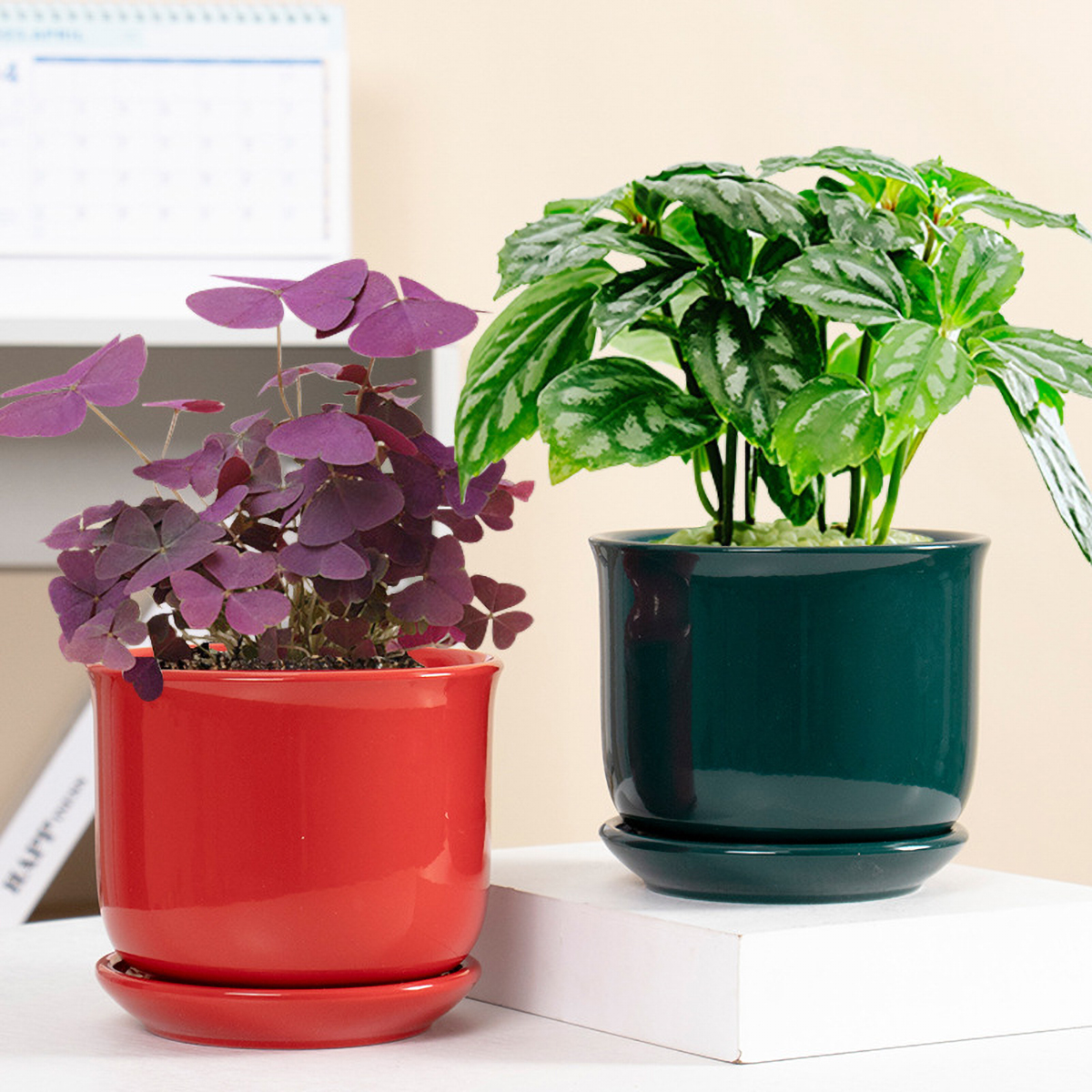 Matorino -Plant pot with Drainage and Saucer, Ceramic Planters Indoor Plants, Flower Pot Outdoor, Leaf Printing Indoor Pots for Plants.