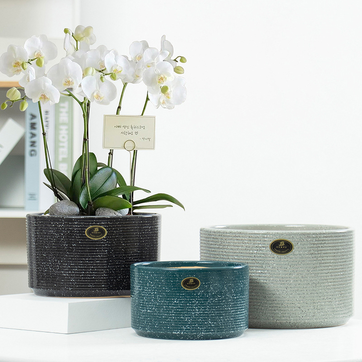 Matorino -Ceramic Modern Glaze Succulent Planter Pot with Drainage Hole and Saucer Round Flower Plant Pot for Indoor Outdoor Herb Snake Plants.