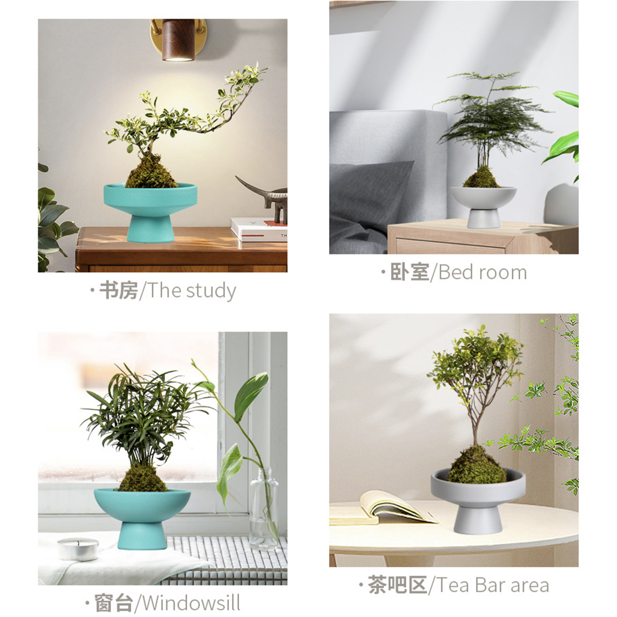 Matorino -Ceramic Plant pots Indoor Pots Set with Drainage Holes, Modern Decorative pots Outdoor Plants Lilies, Cacti, Succulents, Snakes.