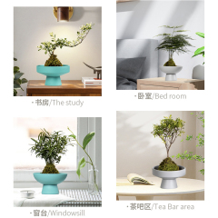 Matorino -Ceramic Plant pots Indoor Pots Set with Drainage Holes, Modern Decorative pots Outdoor Plants Lilies, Cacti, Succulents, Snakes.