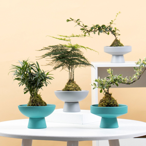 Matorino -Ceramic Plant pots Indoor Pots Set with Drainage Holes, Modern Decorative pots Outdoor Plants Lilies, Cacti, Succulents, Snakes.