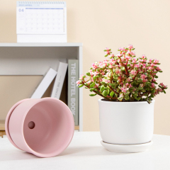 Matorino -Plant pot with Drainage and Saucer, Ceramic Planters Indoor Plants, Flower Pot Outdoor, Leaf Printing Indoor Pots for Plants.