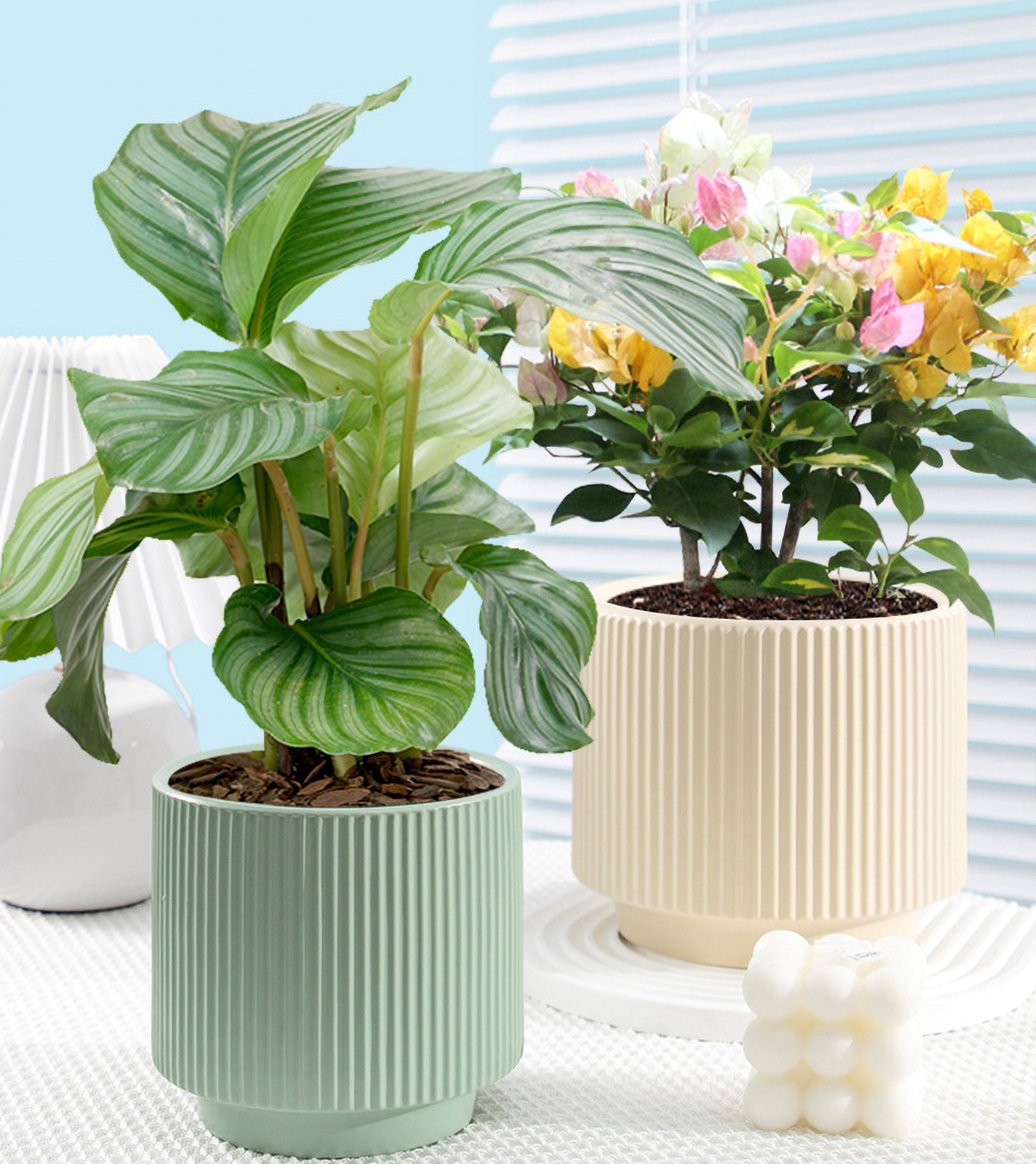 Matorino -Set of 3 Ceramic Flower Pots with Saucer, Texture Pot for Indoor Plants ,Cute Garden Pots, Succulent Pots.