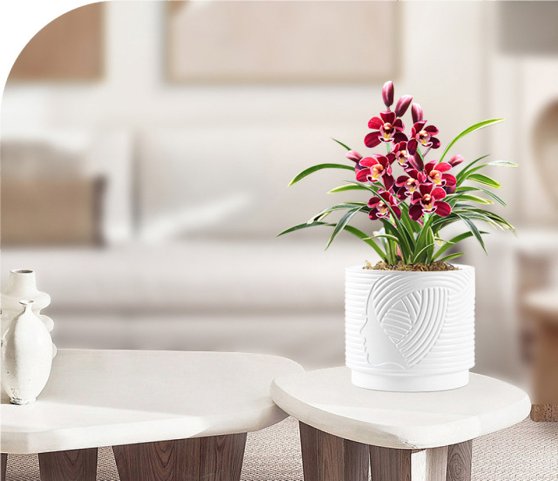 Matorino -Plant Pots ,Ceramic Pots for Indoor Plants, Set of 3 Flower Pots, Unique Crackle Glaze Design Plant Pots with Drainage Hole and Saucer Come with Drainage Nets.