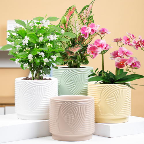 Matorino -Plant Pots ,Ceramic Pots for Indoor Plants, Set of 3 Flower Pots, Unique Crackle Glaze Design Plant Pots with Drainage Hole and Saucer Come with Drainage Nets.
