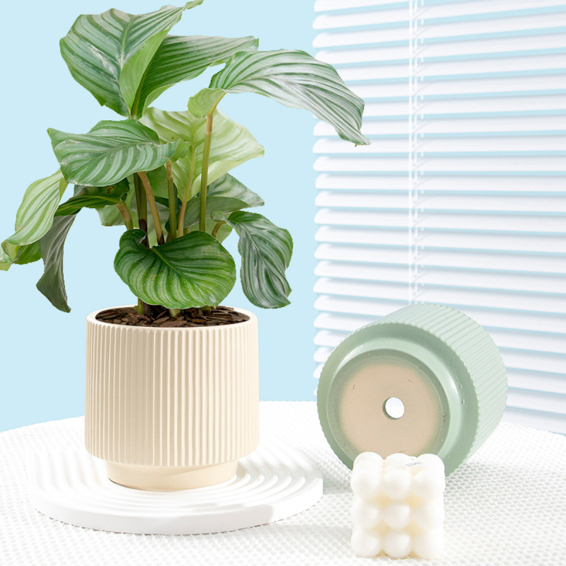 Matorino -Set of 3 Ceramic Flower Pots with Saucer, Texture Pot for Indoor Plants ,Cute Garden Pots, Succulent Pots.