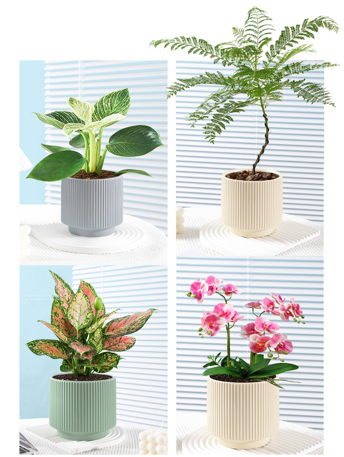 Matorino -Set of 3 Ceramic Flower Pots with Saucer, Texture Pot for Indoor Plants ,Cute Garden Pots, Succulent Pots.