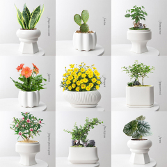 Matorino -Succulent Pot with Drainage,Planting/ Flower Pots,Small Planter Pot for Mini Plant, Ceramic Flowing Glaze Base Serial Set with Holes.