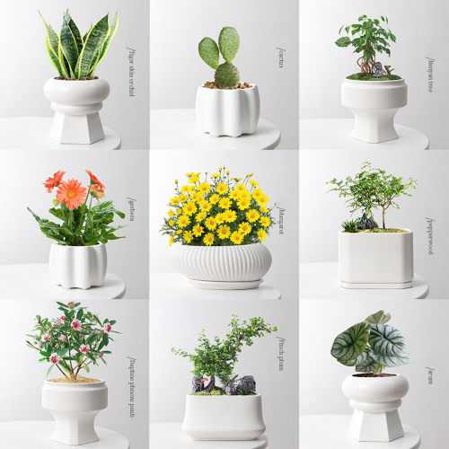 Matorino -Succulent Pot with Drainage,Planting/ Flower Pots,Small Planter Pot for Mini Plant, Ceramic Flowing Glaze Base Serial Set with Holes.