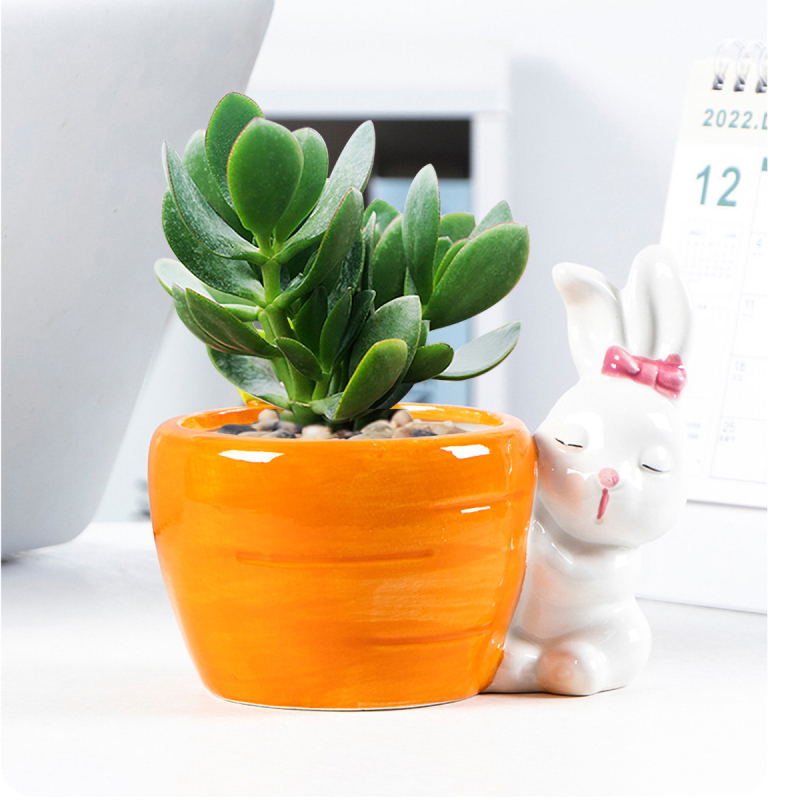 Matorino -Rabbit Succulent Planter, Bunny Decor, Unique planters, Cute Planter, Garden Planter, Decorative planters Outdoor, Flower Pot Succulent Planter, Animal planters for Outdoor Plants, Plant Gifts.