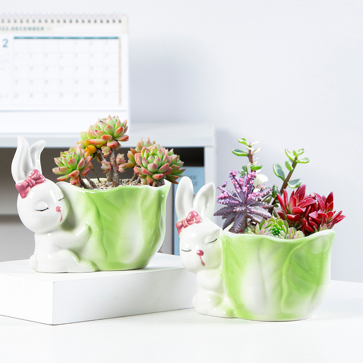 Matorino -Rabbit Succulent Planter, Bunny Decor, Unique planters, Cute Planter, Garden Planter, Decorative planters Outdoor, Flower Pot Succulent Planter, Animal planters for Outdoor Plants, Plant Gifts.