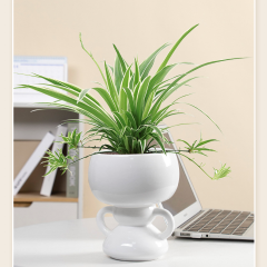 Matorino -Cute Indoor Plant Pot, Unique Flower Pot with Face, Succulent or Cactus Planter with Drainage Hole, Decorative Plant Pot, Novelty Planter.