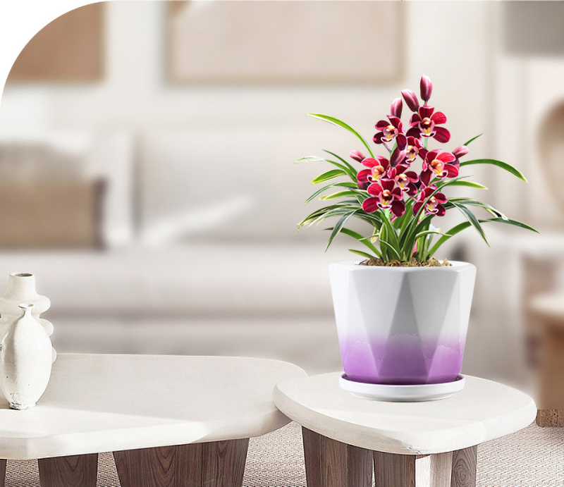 Matorino -Set of 2 Ceramic Pots for Plants