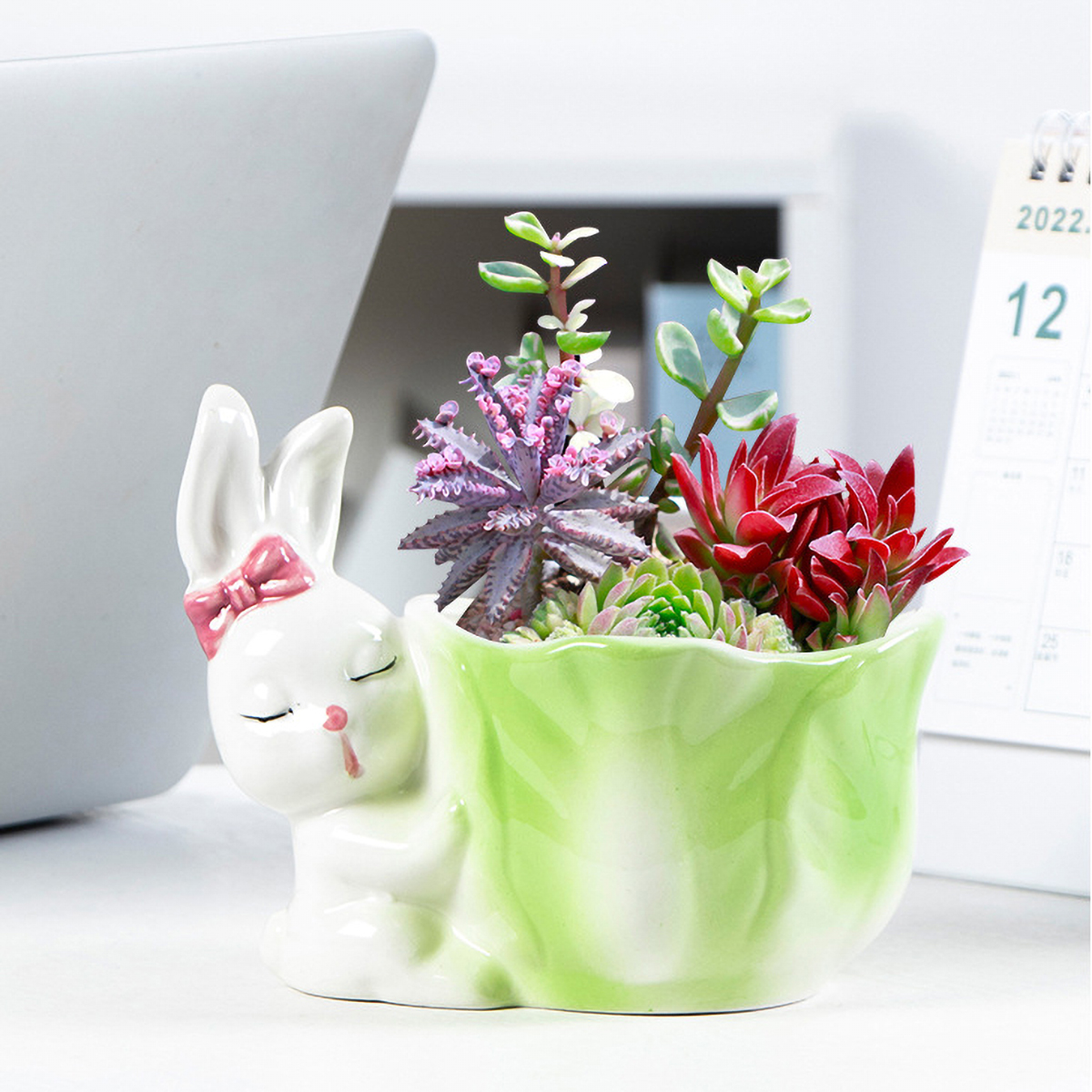 Matorino -Rabbit Succulent Planter, Bunny Decor, Unique planters, Cute Planter, Garden Planter, Decorative planters Outdoor, Flower Pot Succulent Planter, Animal planters for Outdoor Plants, Plant Gifts.